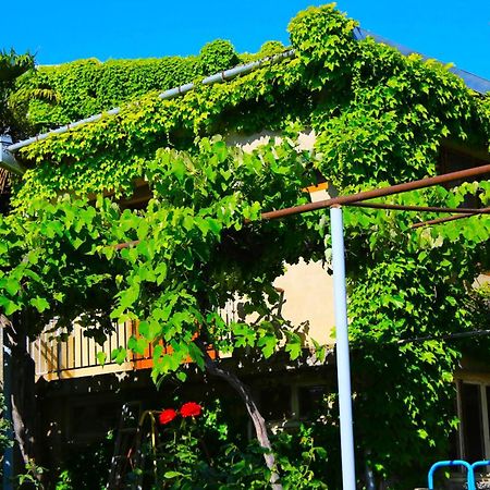 Guest House Green Veranda Mtskheta Luaran gambar