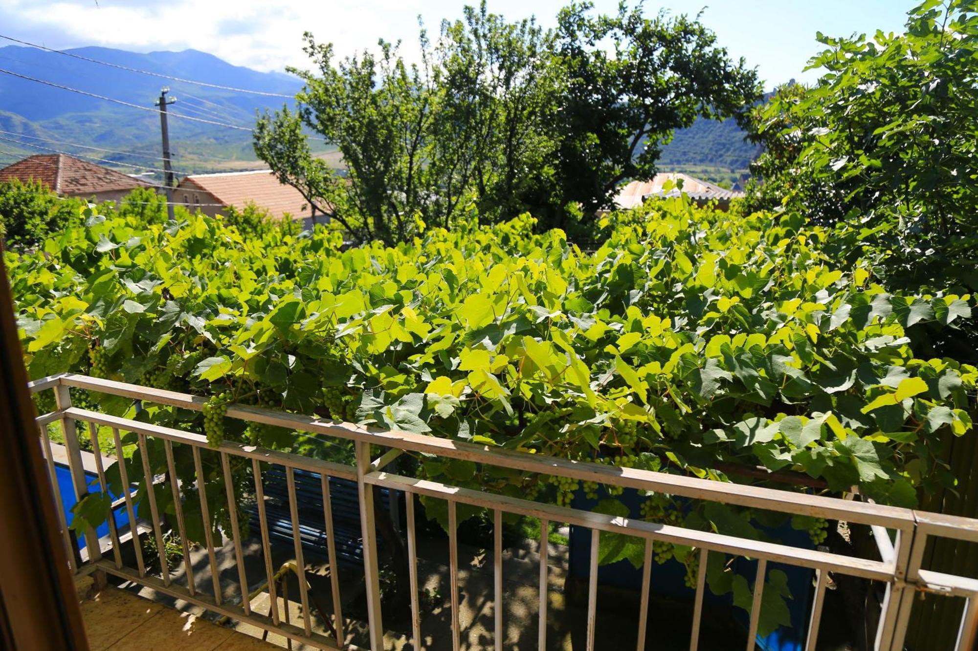 Guest House Green Veranda Mtskheta Luaran gambar