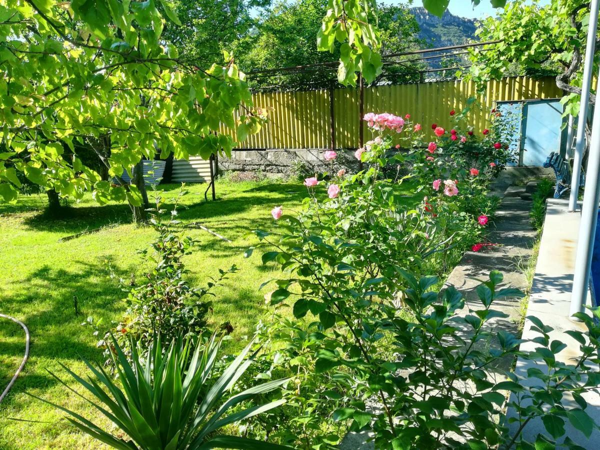 Guest House Green Veranda Mtskheta Luaran gambar