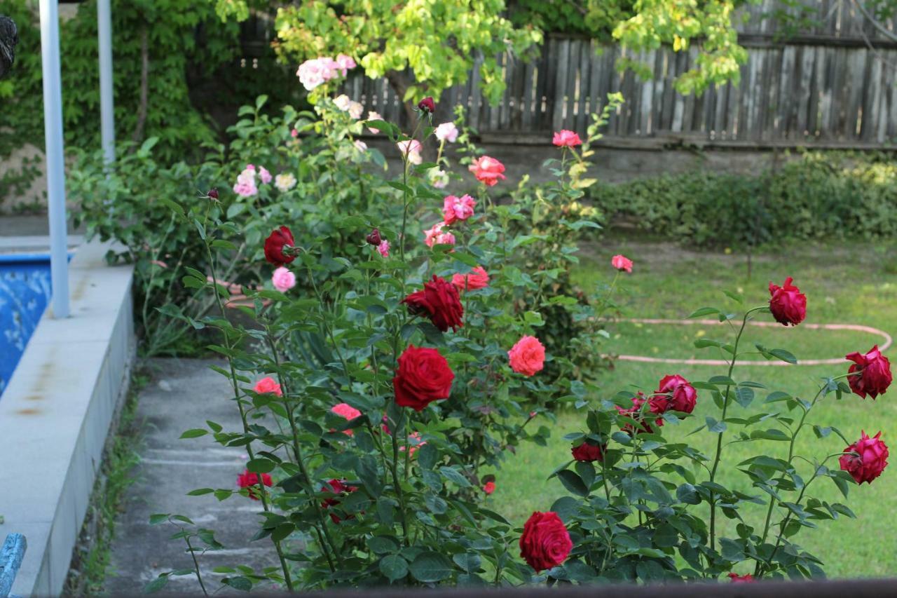 Guest House Green Veranda Mtskheta Luaran gambar